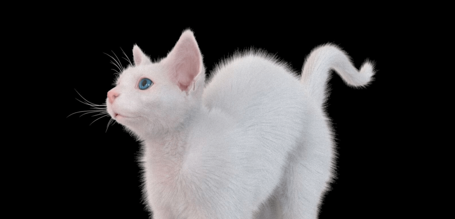 案例：在Maya的XGen插件中制作真实的猫咪模型毛发