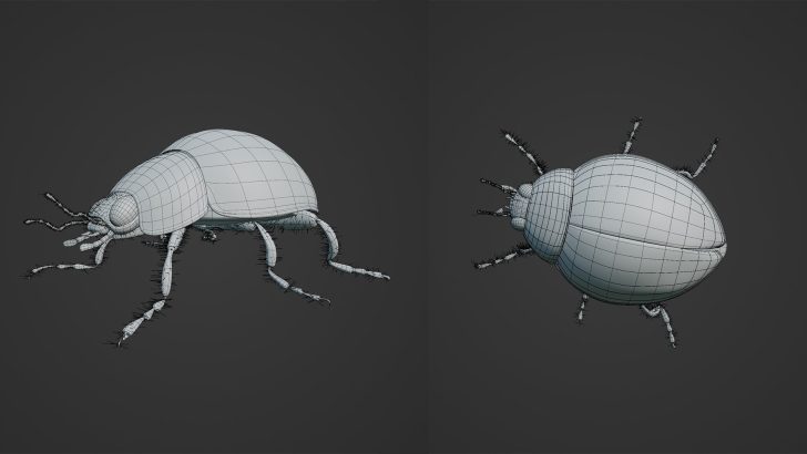 制作出来的瓢虫模型