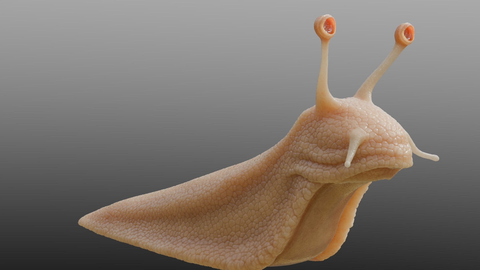 蜗牛身体的材质和纹理-加点SSS