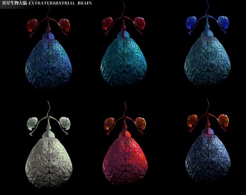 《余象(MIND TRICK)》 异星生物大脑-配色方案