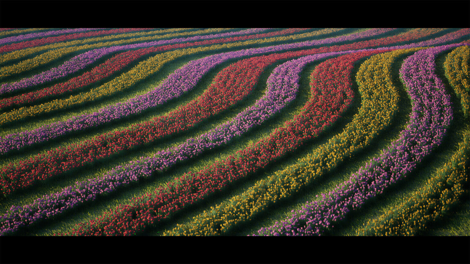 风格化郁金香花田